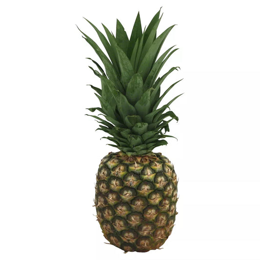 Pineapple Large